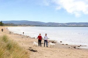 Walking-Dogs-3-One-Hill-Estate